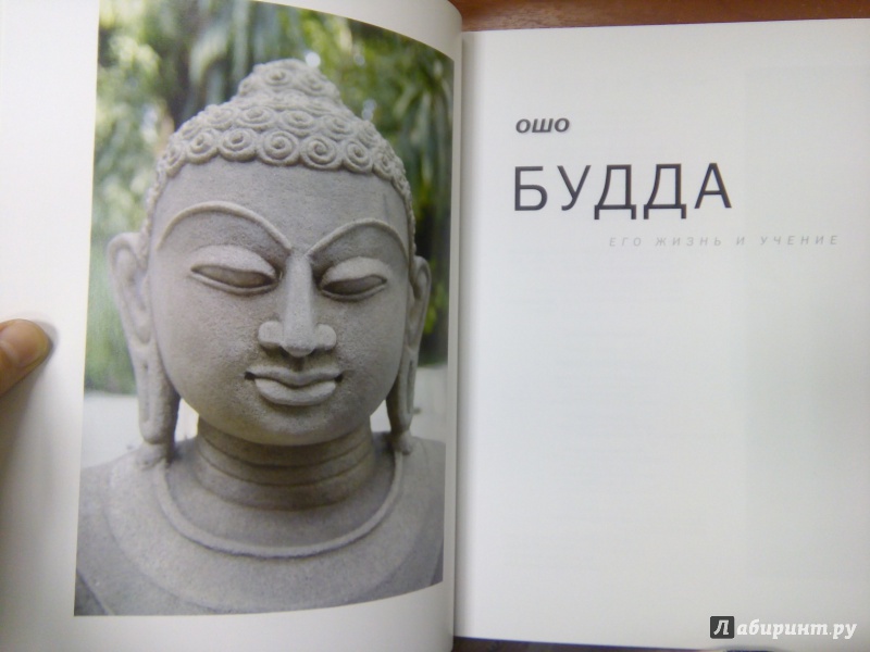 Иллюстрация 10 из 18 для Будда: его жизнь и учение - Ошо Багван Шри Раджниш | Лабиринт - книги. Источник: Ульянова Мария