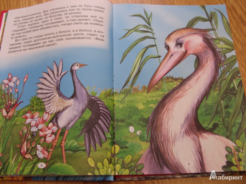 Иллюстрация 4 из 50 для Птичьи сказки | Лабиринт - книги. Источник: Лунный кот