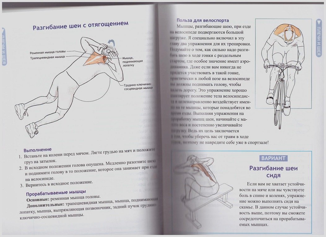 Иллюстрация 14 из 19 для Анатомия велосипедиста - Шеннон Совндаль | Лабиринт - книги. Источник: LanaEr