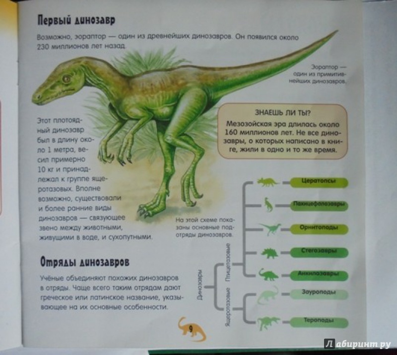Иллюстрация 11 из 27 для Прикольный подарок. Шоу динозавров | Лабиринт - книги. Источник: Lady_S