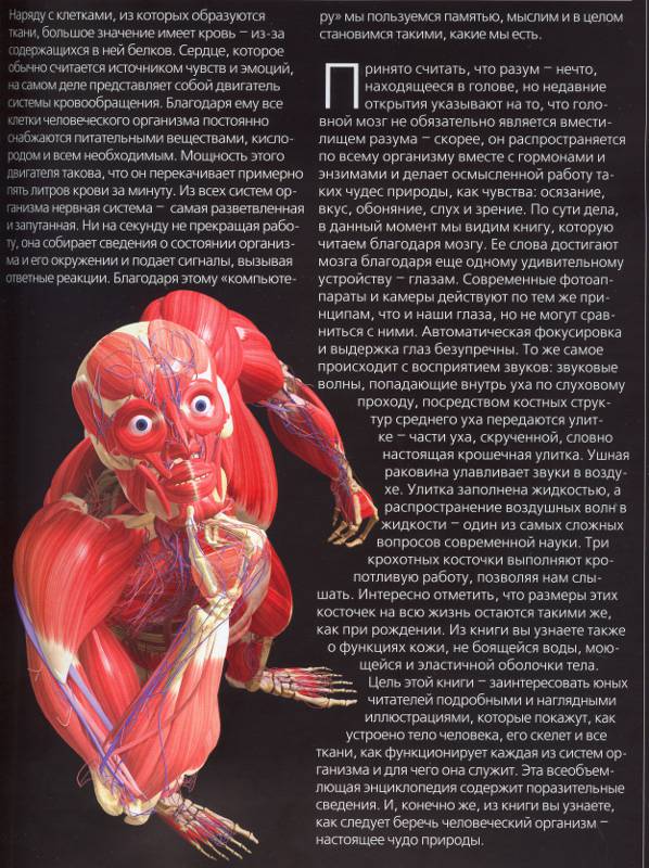 Иллюстрация 3 из 14 для Тело человека. Большой иллюстрированный атлас человека | Лабиринт - книги. Источник: Филиппова Ольга