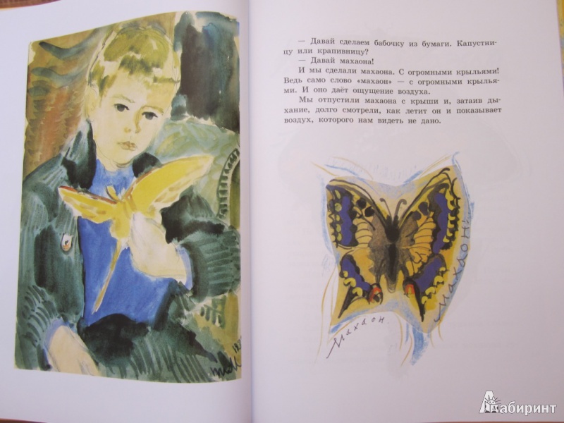 Иллюстрация 10 из 27 для Бабочки - Коваль, Маврина | Лабиринт - книги. Источник: ЮлияО