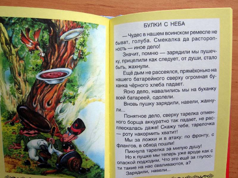 Иллюстрация 18 из 55 для Приключения фельдмаршала Пулькина - Сергей Георгиев | Лабиринт - книги. Источник: Red cat ;)