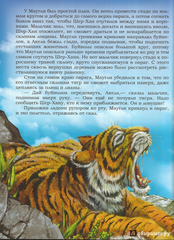 Иллюстрация 20 из 24 для Маугли - Редьярд Киплинг | Лабиринт - книги. Источник: Ира Похвалит