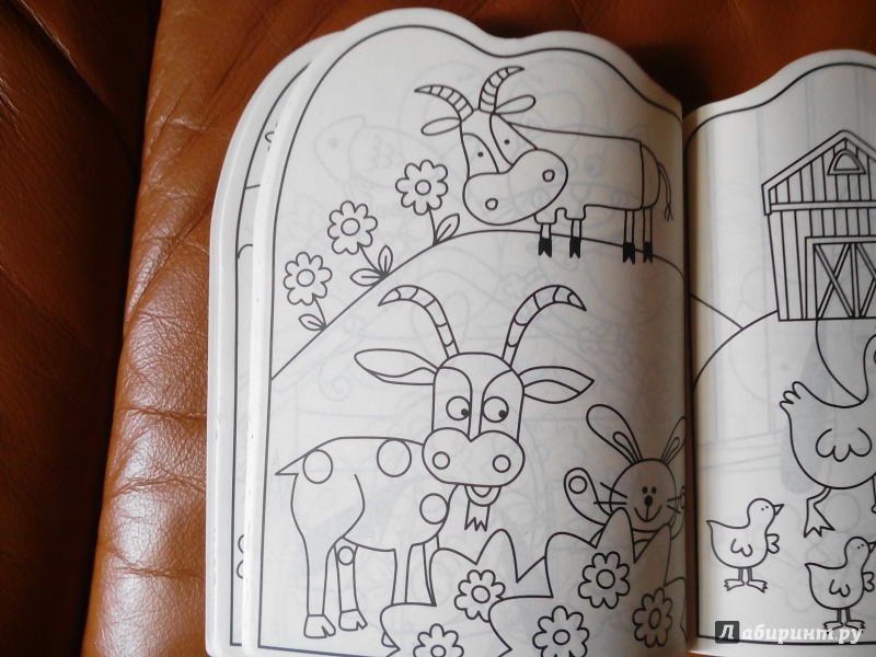 Иллюстрация 9 из 22 для Любимые раскраски. Домашние животные | Лабиринт - книги. Источник: Луганская  Aнна