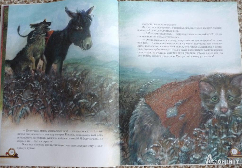 Иллюстрация 4 из 21 для Золотая книга сказок | Лабиринт - книги. Источник: Капитан Африка