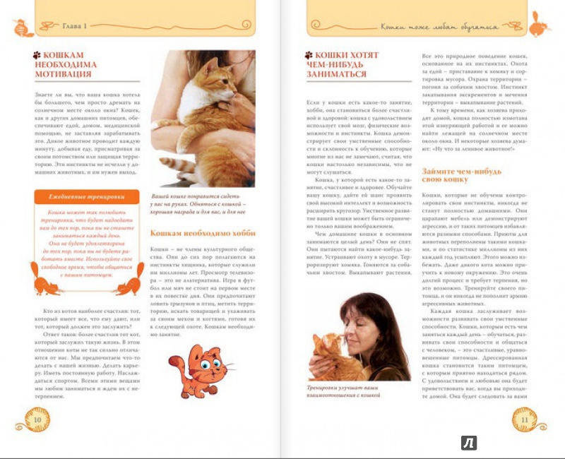 Иллюстрация 16 из 32 для Дрессируем кошку за 10 минут - Мириам Филдс-Бабино | Лабиринт - книги. Источник: Клепикова  Ольга Алексвндровна
