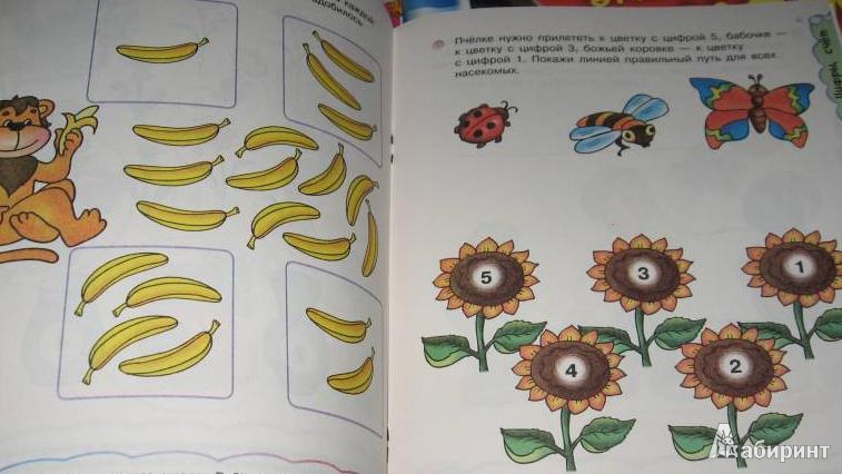 Иллюстрация 18 из 18 для Что знает малыш в 3-4 года - Наталья Коваль | Лабиринт - книги. Источник: Гусева  Анна Сергеевна