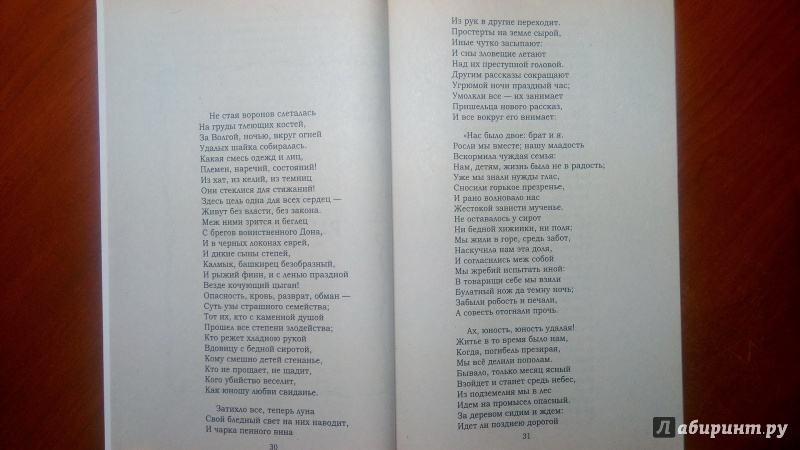 Иллюстрация 10 из 20 для Поэмы - Александр Пушкин | Лабиринт - книги. Источник: Alenta  Valenta