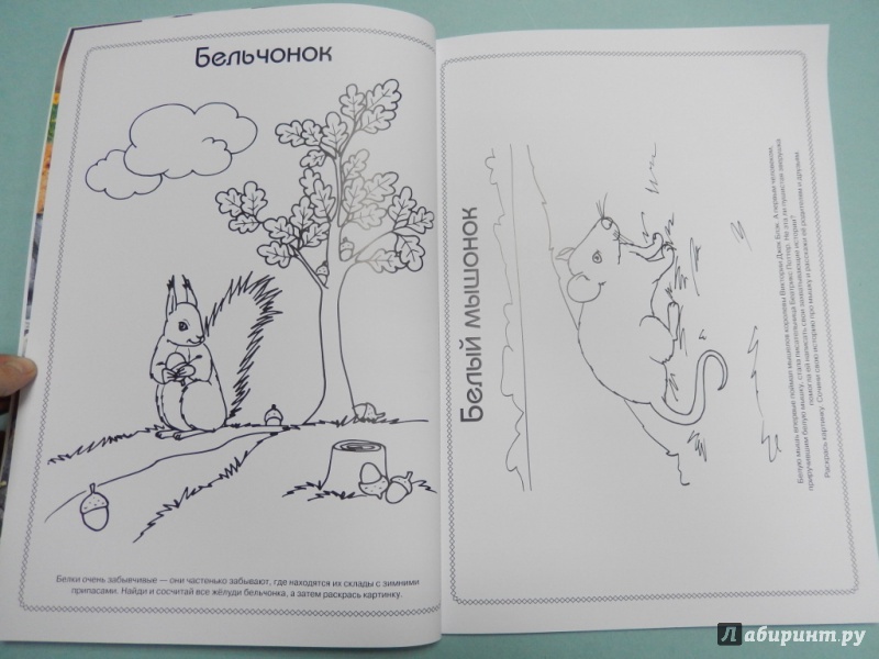 Иллюстрация 4 из 22 для Детёныши - Анна Торманова | Лабиринт - книги. Источник: dbyyb