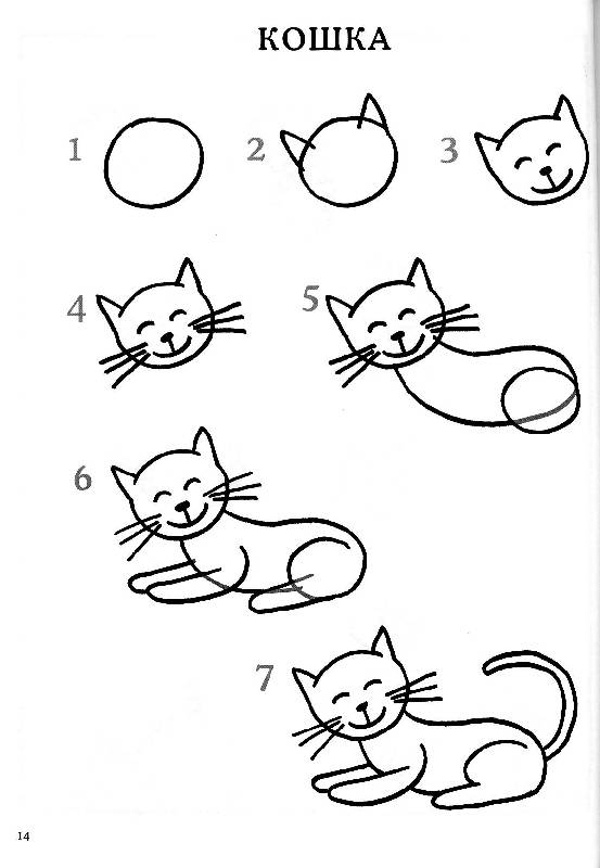 Иллюстрация 12 из 28 для Обучение рисованию. Рисуем животных | Лабиринт - книги. Источник: Росинка