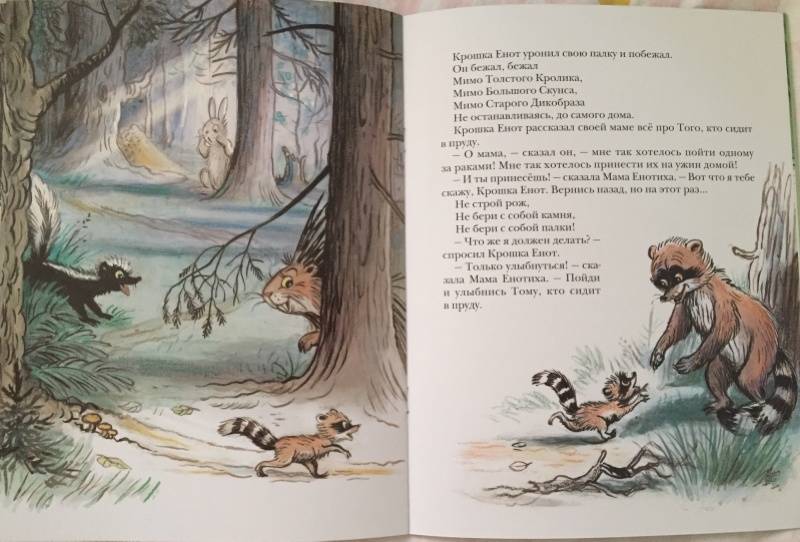 Иллюстрация 93 из 97 для Крошка Енот и тот, кто сидит в пруду - Лилиан Муур | Лабиринт - книги. Источник: Шпортун  Алена Игоревна