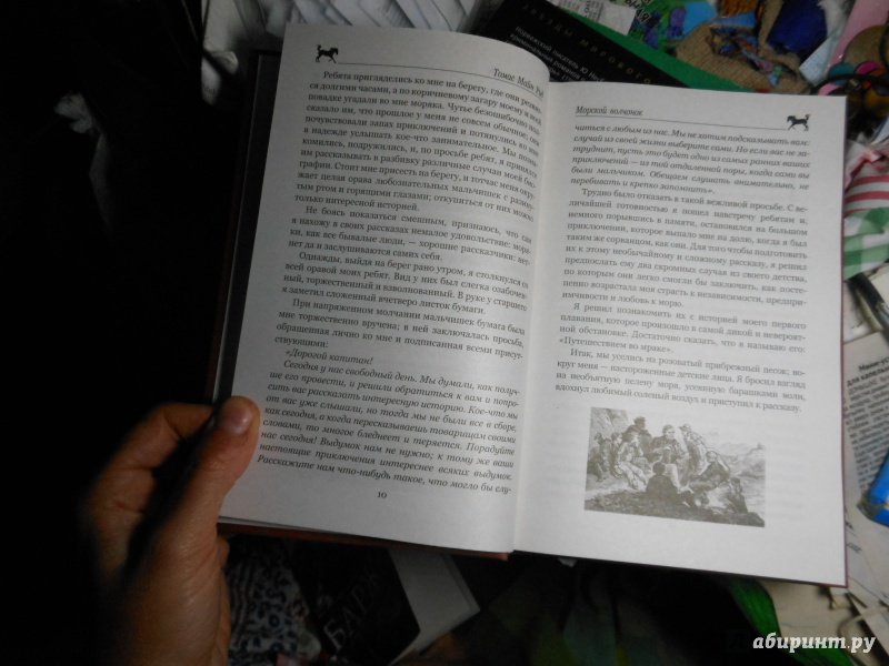 Иллюстрация 20 из 55 для Морской волчонок, или на дне трюма. Скитальцы Борнео, или Капитан Редвуд - Рид Майн | Лабиринт - книги. Источник: Савина  Евгения