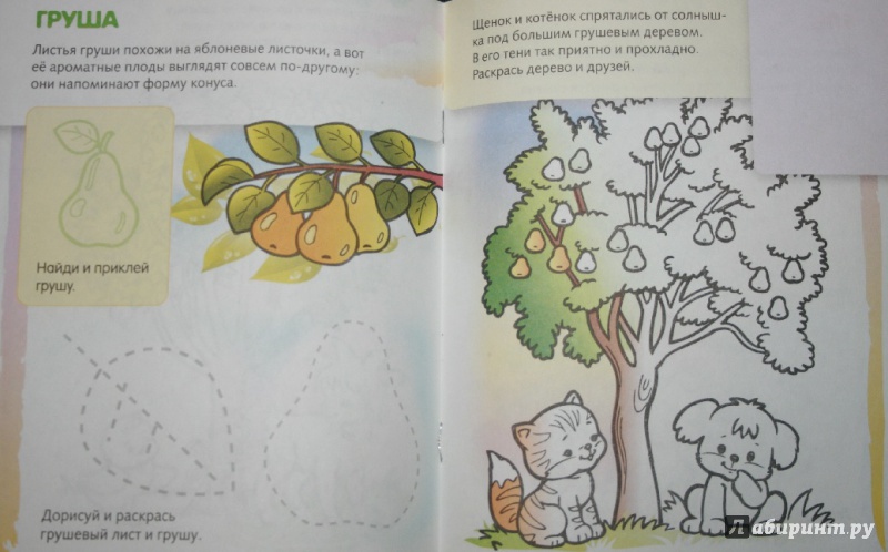 Иллюстрация 5 из 16 для Дорисуй и раскрась.Деревья и плоды | Лабиринт - книги. Источник: Остапчук  Дарья