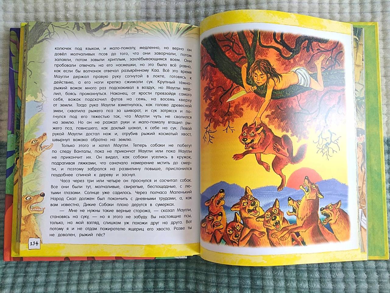 Иллюстрация 75 из 97 для Маугли - Редьярд Киплинг | Лабиринт - книги. Источник: Штаны в клеточку