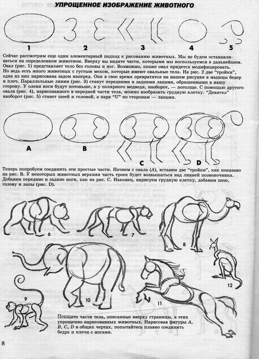 Иллюстрация 5 из 41 для Как рисовать животных - Джек Хамм | Лабиринт - книги. Источник: * Ольга *
