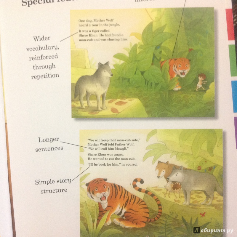 Иллюстрация 2 из 21 для The Jungle Book - Jillian Powell | Лабиринт - книги. Источник: Sage Tea