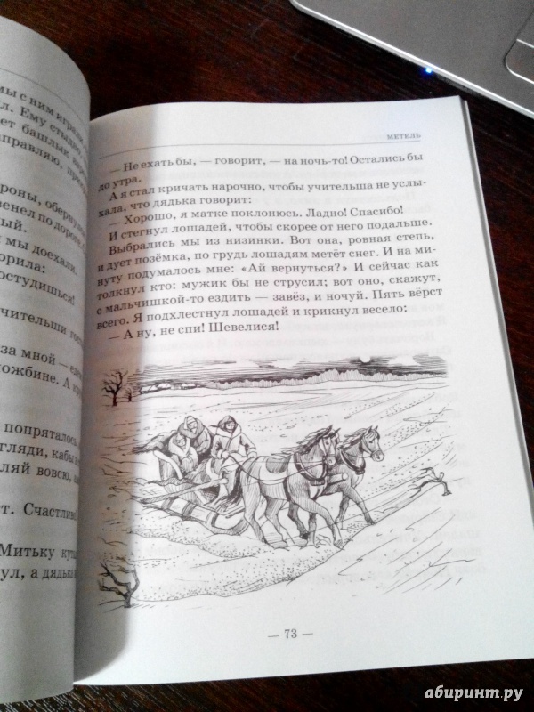 Иллюстрация 11 из 19 для Разиня и другие рассказы - Борис Житков | Лабиринт - книги. Источник: Хранительница книг