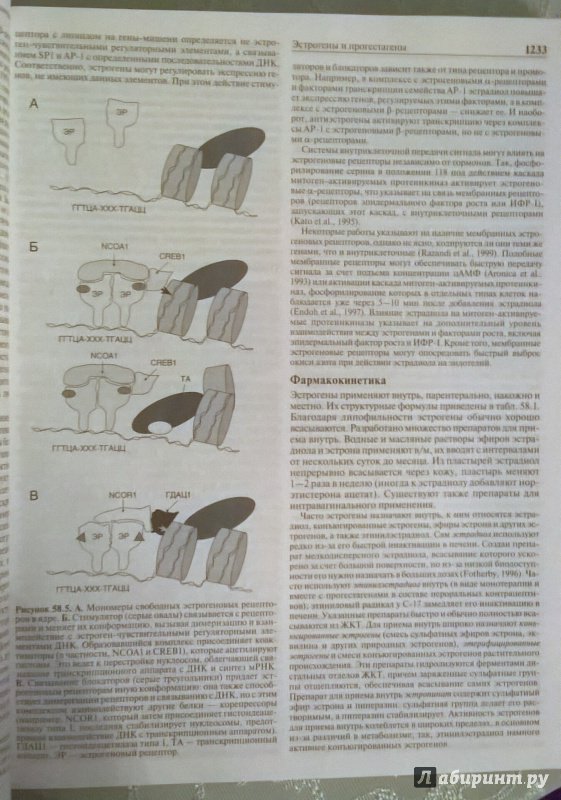 Иллюстрация 11 из 12 для Клиническая фармакология по Гудману и Гилману. Том 4 | Лабиринт - книги. Источник: Angreniel