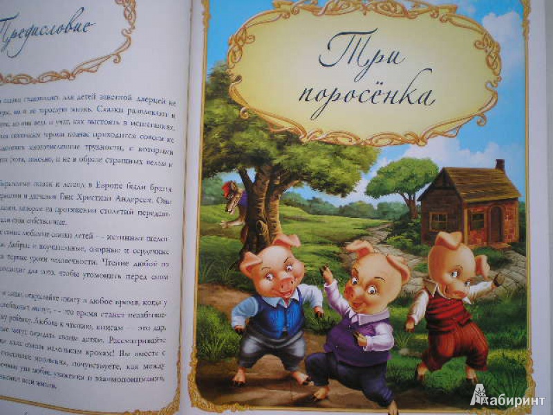 Иллюстрация 3 из 24 для Золотая книга знаменитых сказок | Лабиринт - книги. Источник: Ремизова Нина