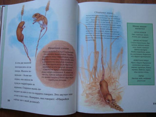 Иллюстрация 5 из 30 для Детская энциклопедия животных - Тинг Моррис | Лабиринт - книги. Источник: Mурaшкa