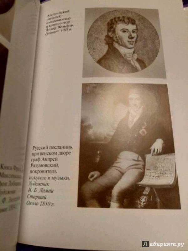 Иллюстрация 15 из 16 для Бетховен - Бернар Фоконье | Лабиринт - книги. Источник: Крисанова  Анна