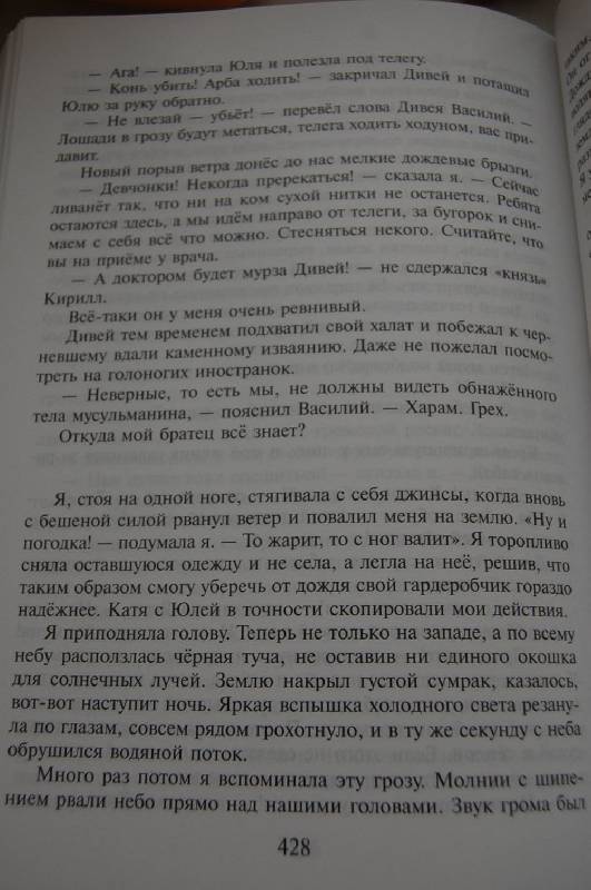 Иллюстрация 20 из 22 для Сокровища хана Мамая. Роман-сказка - Александр Стрельцов | Лабиринт - книги. Источник: ИринаИ