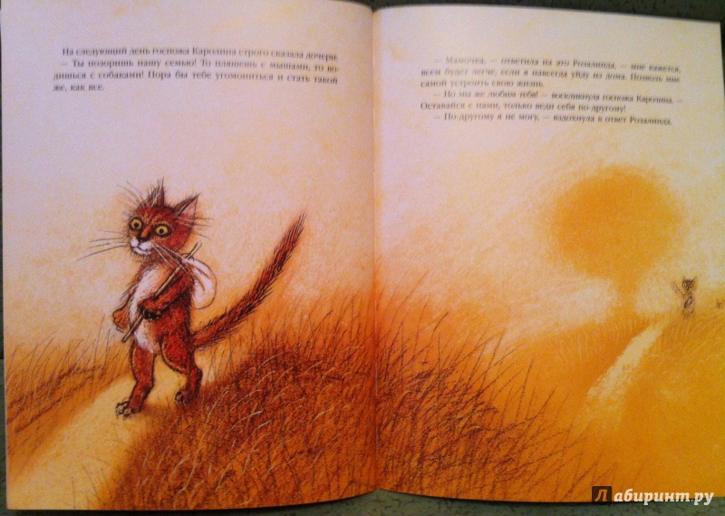 Иллюстрация 17 из 33 для История про кошку Розалинду, непохожую на других - Петр Вилкон | Лабиринт - книги. Источник: Kyu82