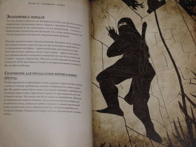 Иллюстрация 47 из 54 для Ниндзя. Воин тени - Джоэль Леви | Лабиринт - книги. Источник: Nemertona