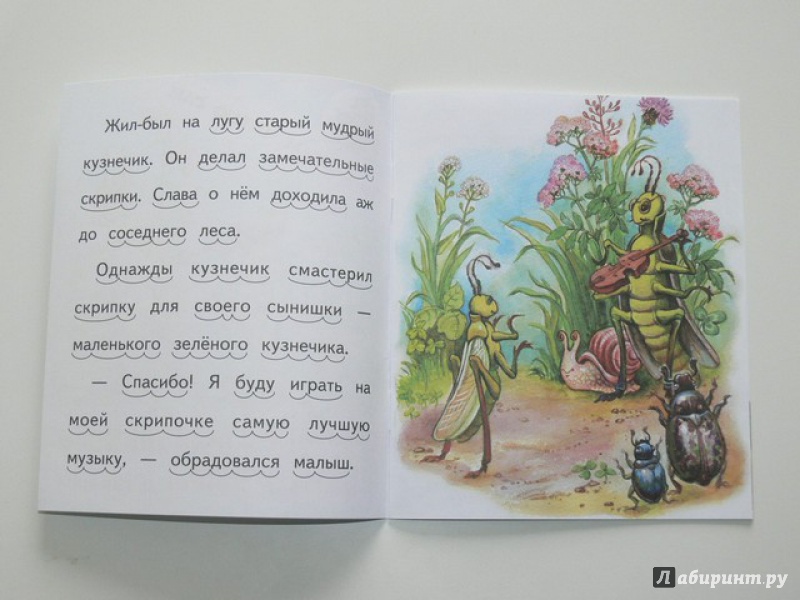 Иллюстрация 6 из 32 для Сказка про маленького кузнечика и скрипку - Елена Ермолова | Лабиринт - книги. Источник: Irbis