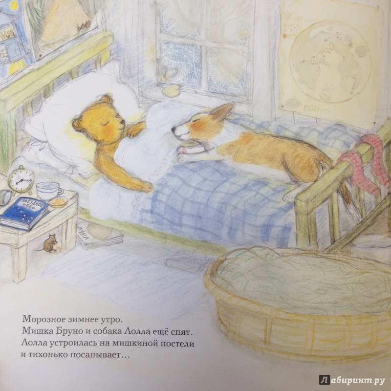Иллюстрация 9 из 54 для Зима мишки Бруно - Гунилла Ингвес | Лабиринт - книги. Источник: Fantastic_miss_Fox