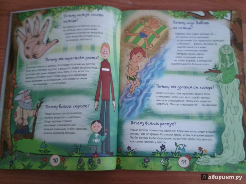 Иллюстрация 26 из 136 для Почему трава зелёная и еще 100 детских почему - Татьяна Яценко | Лабиринт - книги. Источник: =Green-cat=