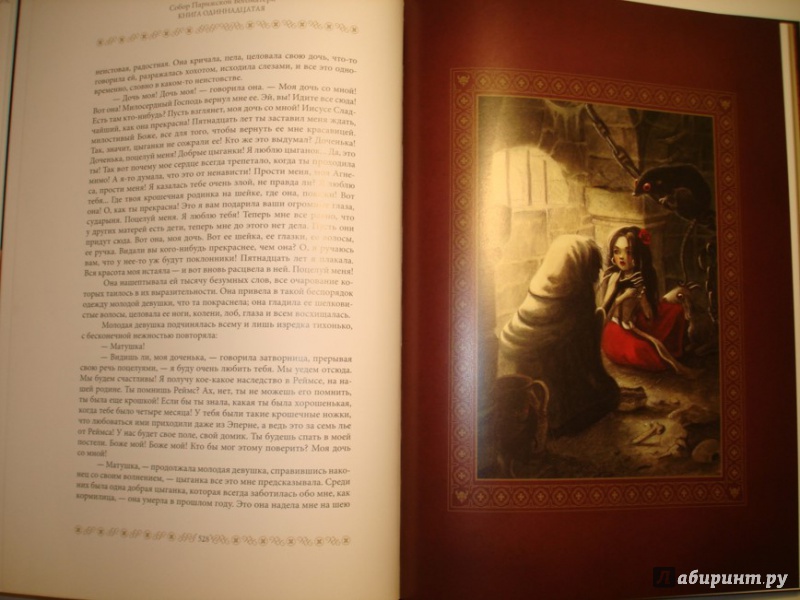 Иллюстрация 51 из 97 для Собор Парижской Богоматери - Виктор Гюго | Лабиринт - книги. Источник: Сорокина  Лариса
