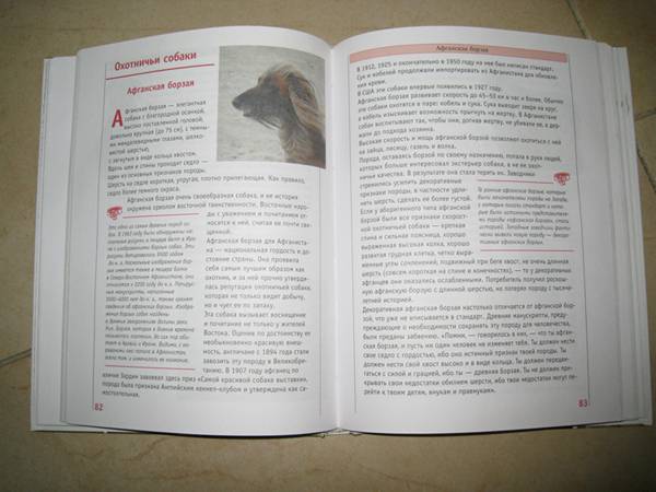 Иллюстрация 2 из 2 для Самые популярные породы собак | Лабиринт - книги. Источник: thelopho