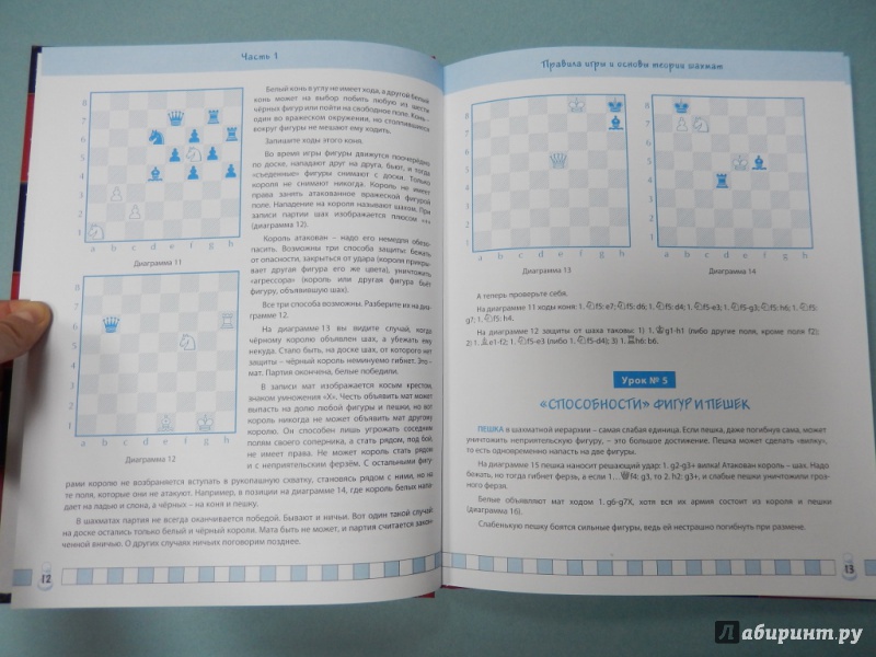 Иллюстрация 6 из 20 для Самоучитель шахмат для начинающих - Авербах, Бейлин | Лабиринт - книги. Источник: dbyyb