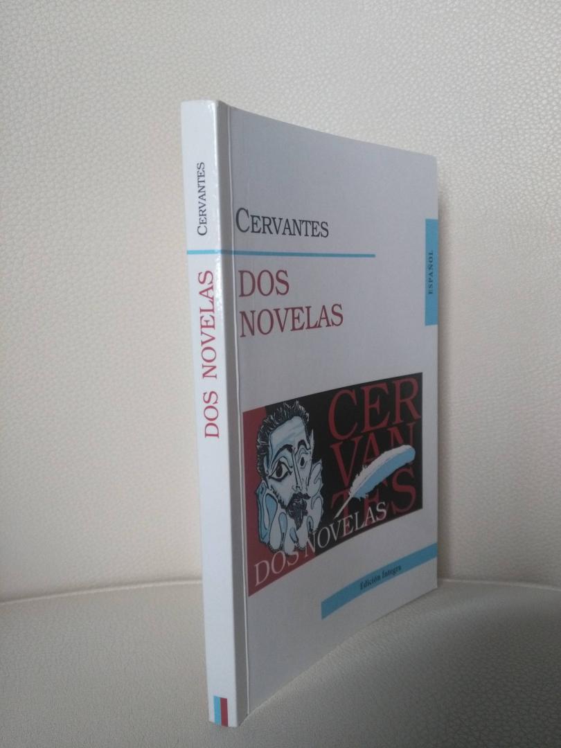 Иллюстрация 11 из 15 для Dos Novelas - Miguel Cervantes | Лабиринт - книги. Источник: Савельева  Ольга