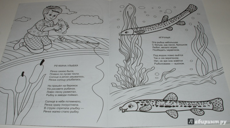 Иллюстрация 6 из 11 для Форелевая речка - Н. Красильников | Лабиринт - книги. Источник: Лабиринт