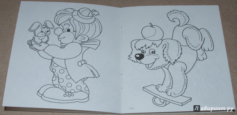 Иллюстрация 6 из 25 для Цирк | Лабиринт - книги. Источник: Книжный кот