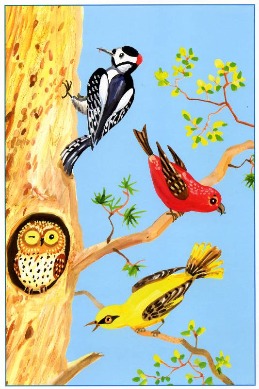 Иллюстрация 7 из 15 для Наши птицы (рисование красками). 4-7 лет. Методические рекомендации - Ирина Лыкова | Лабиринт - книги. Источник: Росинка