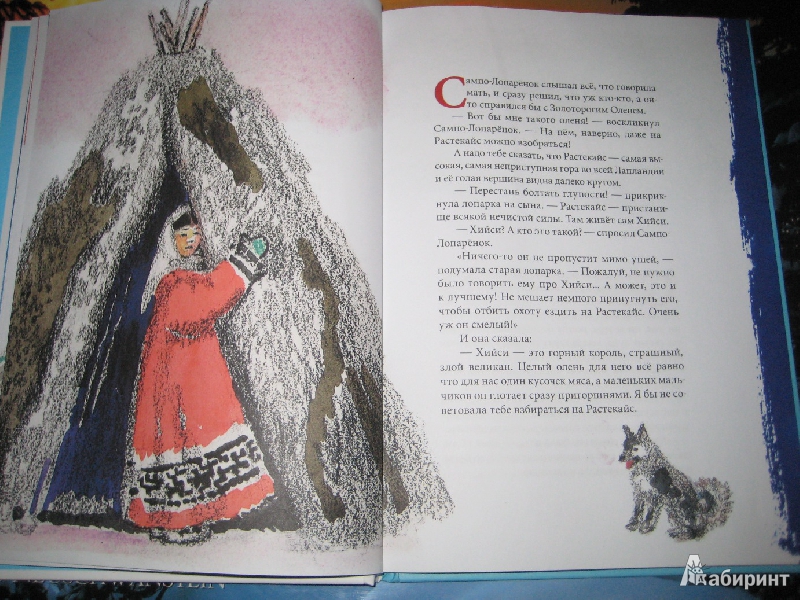 Иллюстрация 5 из 58 для Зимняя сказка - Сакариас Топелиус | Лабиринт - книги. Источник: Макарова  Елена