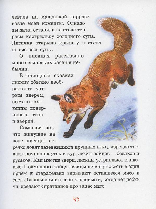 Иллюстрация 26 из 32 для Русский лес - Иван Соколов-Микитов | Лабиринт - книги. Источник: Igra