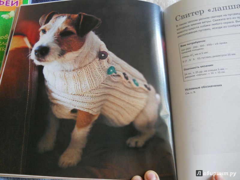 Иллюстрация 11 из 17 для Пальто, кардиганы свитера. Стильная одежда для собак - Анна Тильман | Лабиринт - книги. Источник: kosolapiki