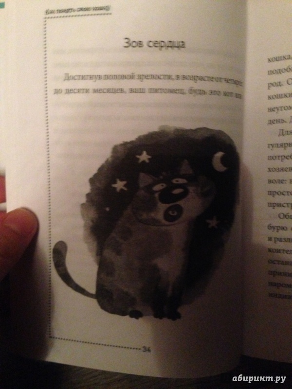 Иллюстрация 16 из 33 для Как понять свою кошку - Наталья Дьякова | Лабиринт - книги. Источник: Светлана