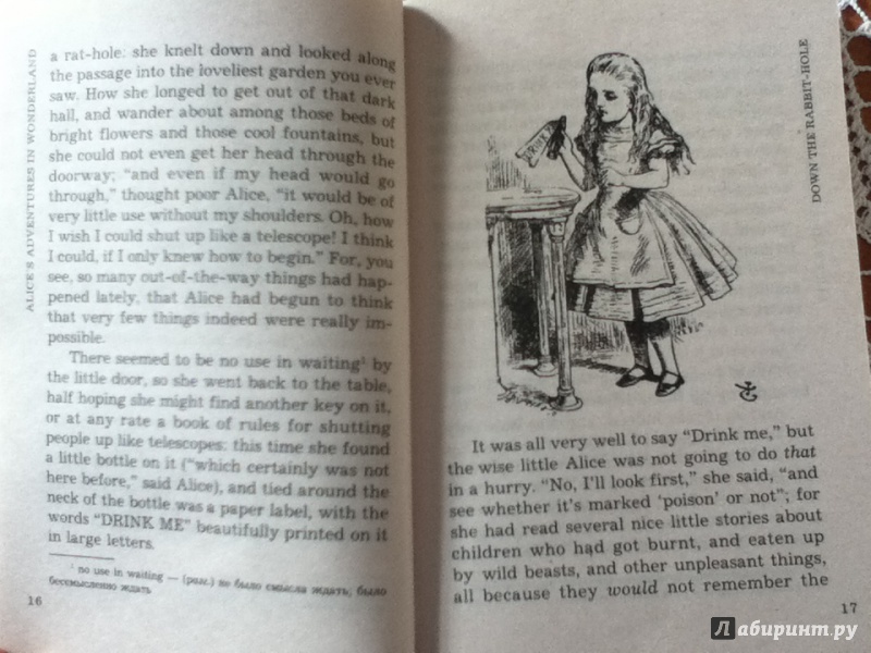 Иллюстрация 9 из 12 для Alice's Adventures in Wonderland - Lewis Carroll | Лабиринт - книги. Источник: ЮльПална