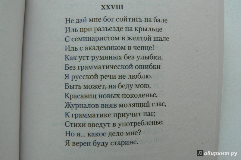 Иллюстрация 12 из 14 для Евгений Онегин - Александр Пушкин | Лабиринт - книги. Источник: Марина
