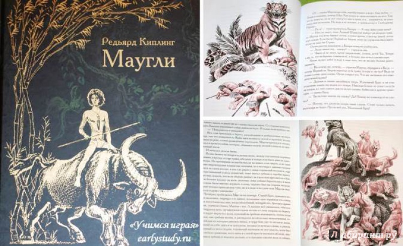 Иллюстрация 30 из 32 для Маугли - Редьярд Киплинг | Лабиринт - книги. Источник: Mariya_Kostyuchenko