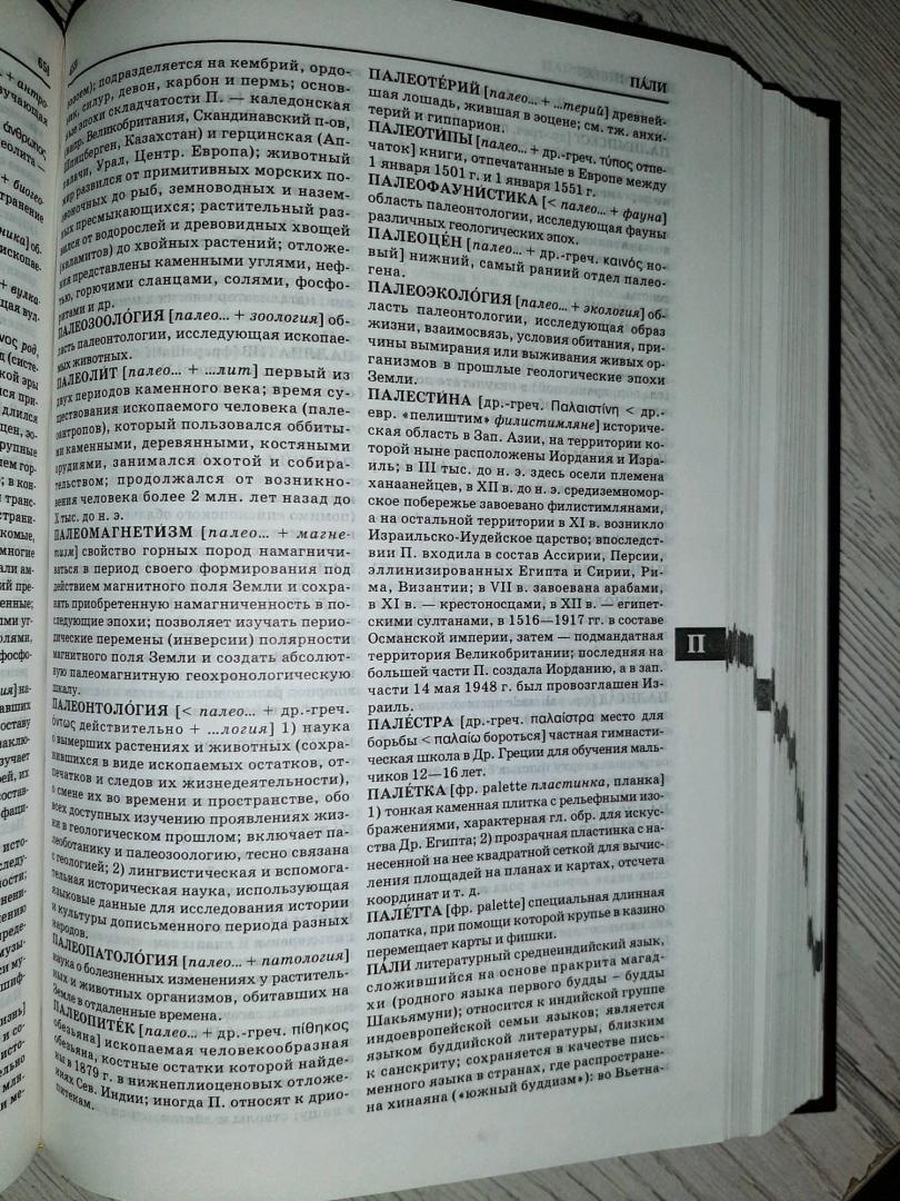 Иллюстрация 7 из 18 для Новый словарь иностранных слов | Лабиринт - книги. Источник: Елена Рясная