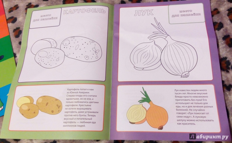 Иллюстрация 14 из 17 для Овощи | Лабиринт - книги. Источник: Екатерина