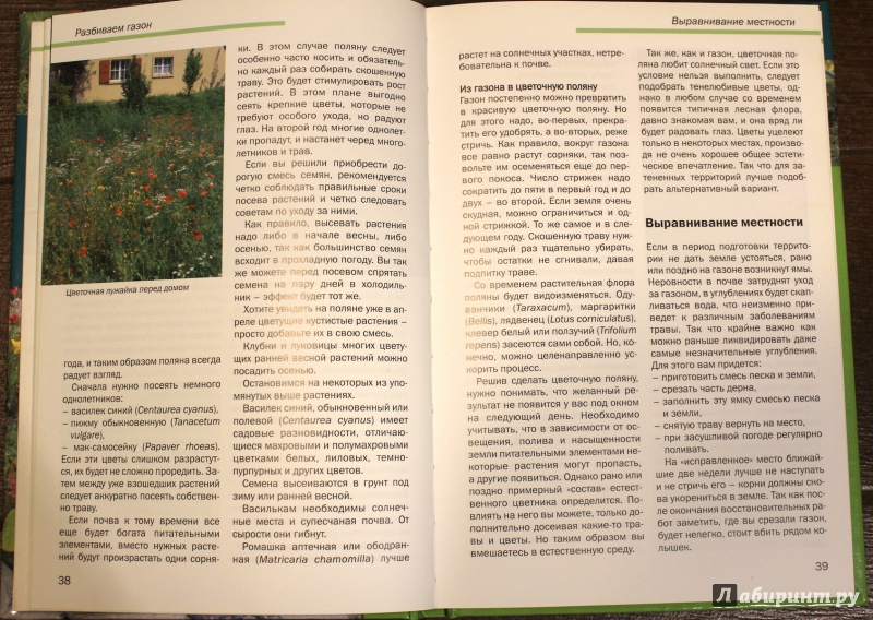 Иллюстрация 12 из 37 для Идеальный газон в вашем саду: Подготовка. Посев. Уход - Криста Лунг | Лабиринт - книги. Источник: fionna_cake