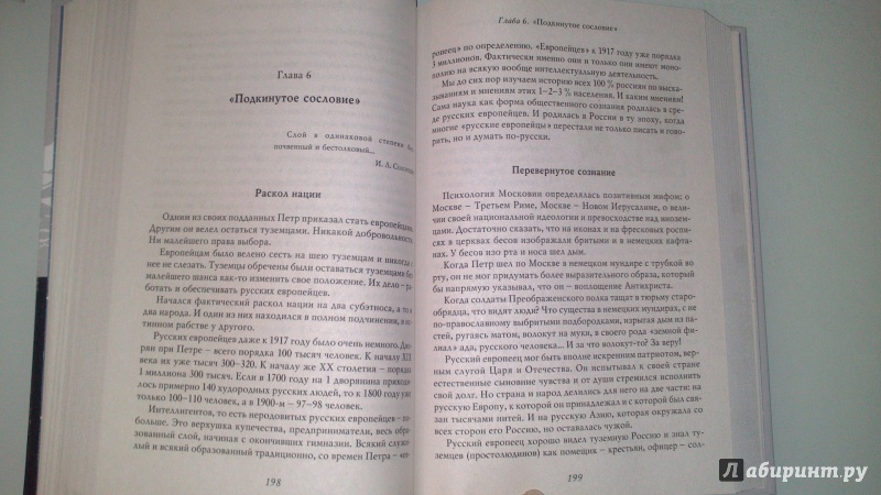 Иллюстрация 27 из 33 для О русском пьянстве, лени и жестокости - Владимир Мединский | Лабиринт - книги. Источник: bamboo